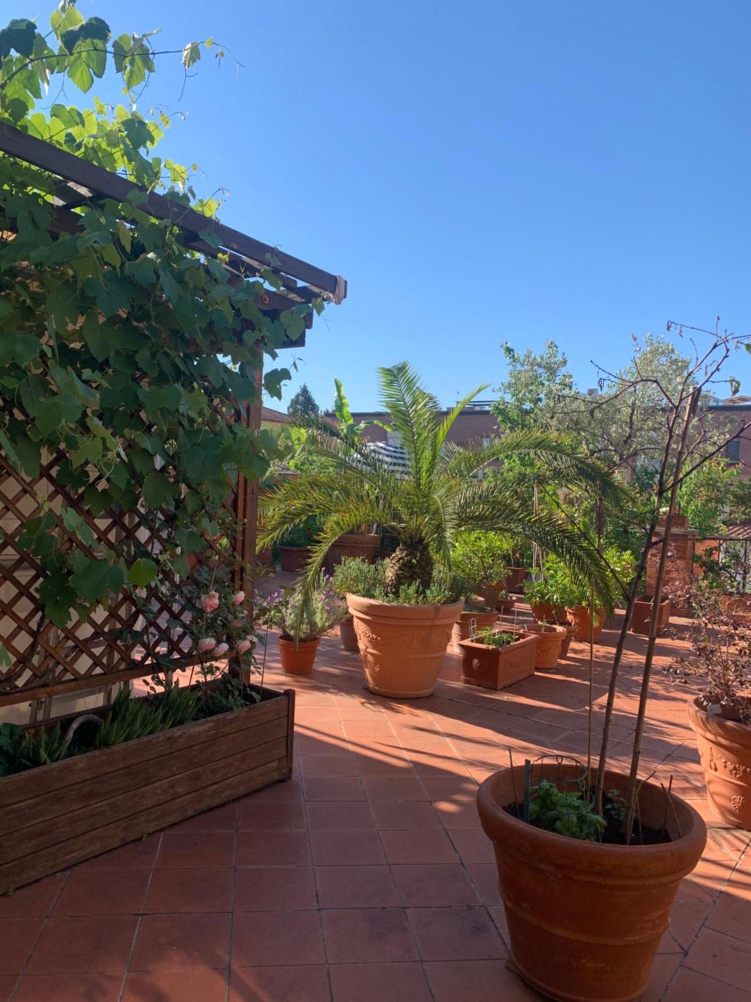 La Terrazza Da Ernestina Apartment Lucca Exterior foto